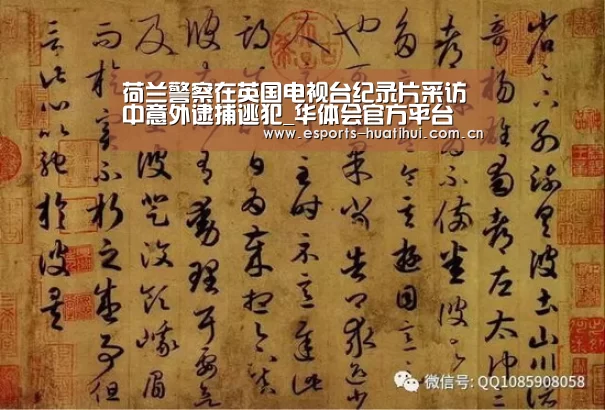 华体会官方平台