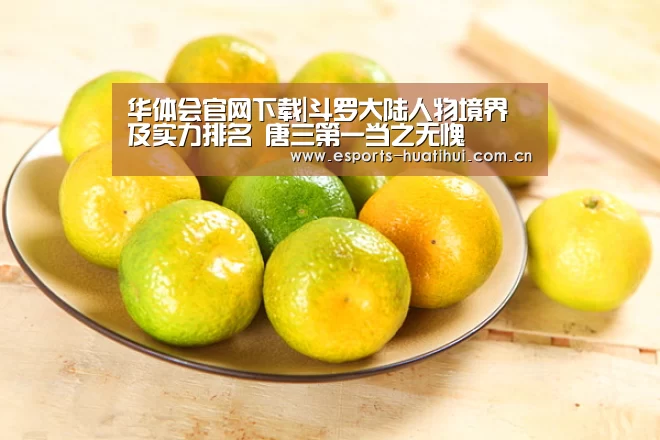 华体会官网下载|斗罗大陆人物境界及实力排名 唐三第一当之无愧(图3) 华体会体育app下载