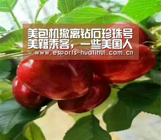 华体会官方平台
