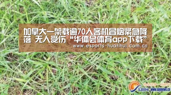 华体会体育app下载
